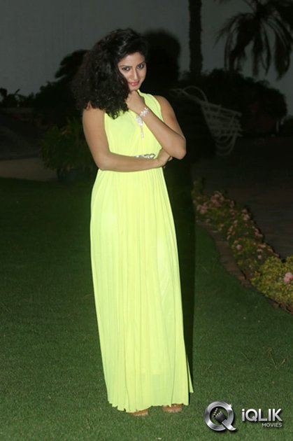 Vishnu-Priya-at-Nenu-Naa-Friends-Movie-Audio-Launch